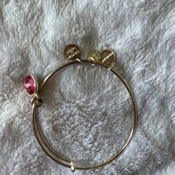 Alex and Ani Silver Bracelet - Picture 1 of 2
